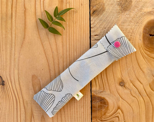 Etui brosse à dents