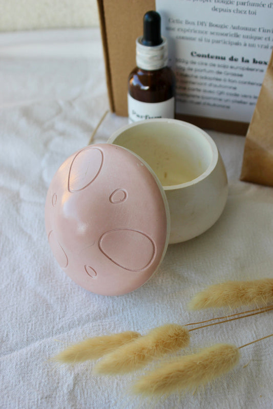 🕯️Box DIY Bougie d'Automne - Champignon 🍄🟫