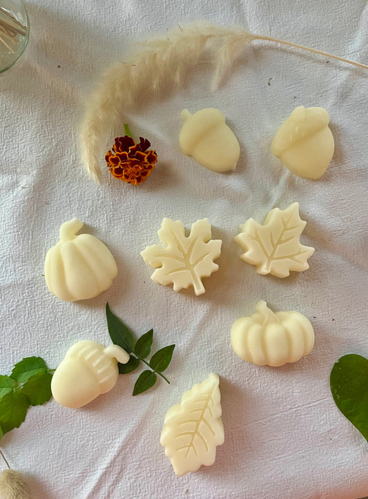 Fondant parfumé - Collection Automne 🍁