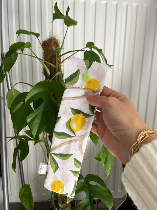 Etui brosse à dents