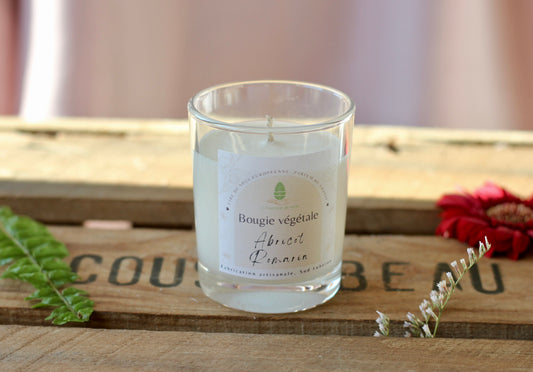 Bougie Abricot-Romarin 80g
