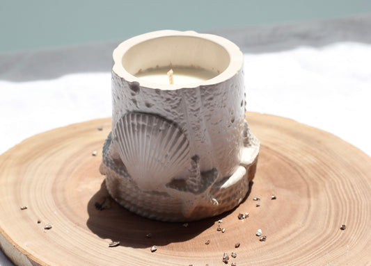 Bougie phare - Fruits rouges