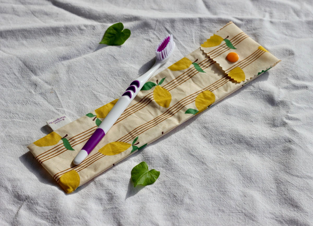 Etui brosse à dents