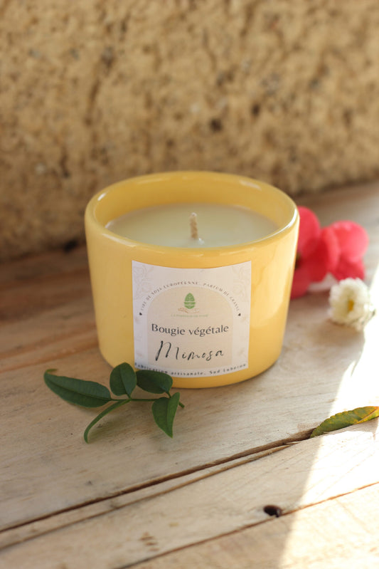 Bougie Mimosa 120g