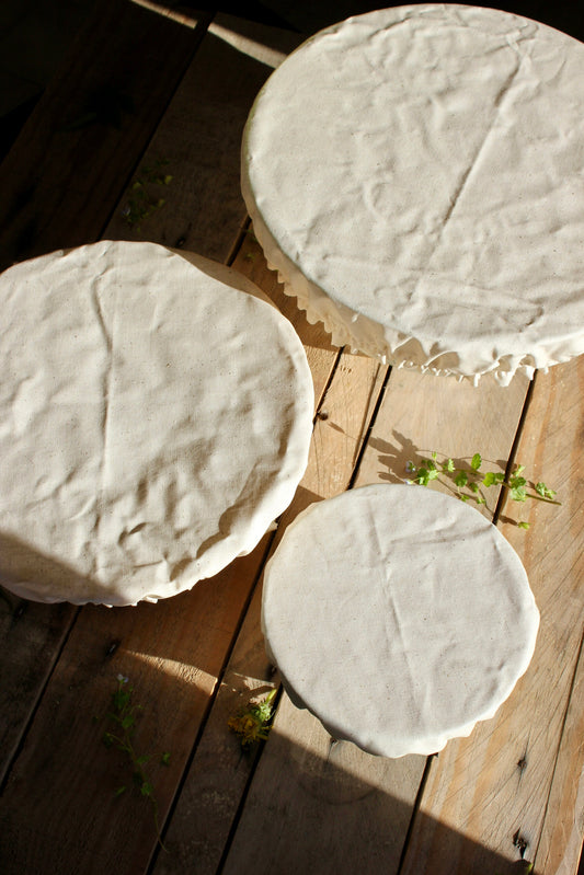 Charlotte à plat ronde - Couvre plat M