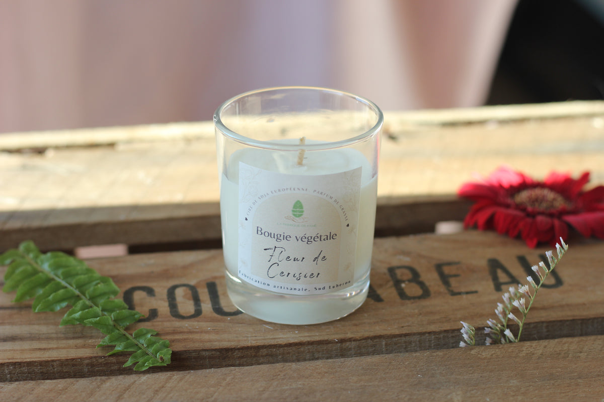 Bougie fleur de cerisier