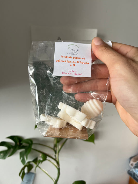 Lot de fondants parfumés choco praliné - Pâques 🐣