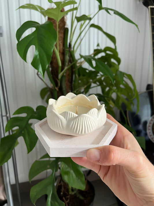 Coffret édition limité n°15